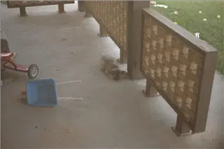 small_9400 0662 cew family etcIMG0003.webp